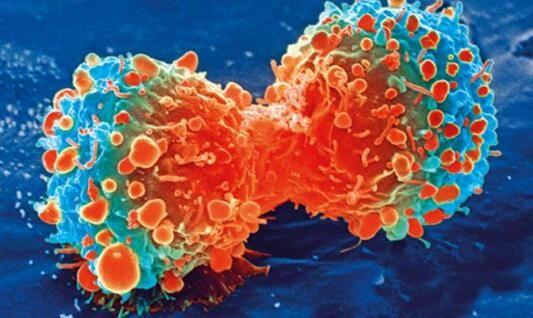 National Institutes of Health National Institutes of Health