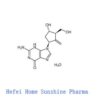 Entecavir monohidrato CAS 209216-23-9