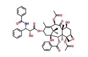 Paclitaxel CAS NO: 33069-62-4