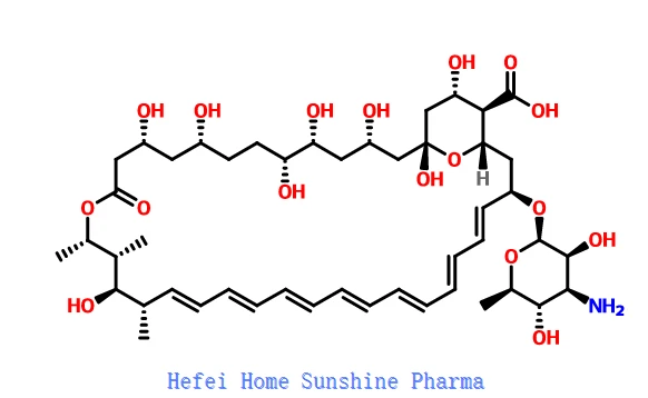Anfotericina B CAS 1397-89-3
