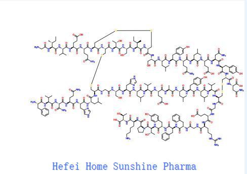INSULINA CAS 9004-10-8