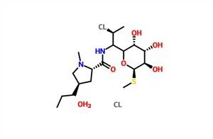 CLORHIDRATO DE CLINDAMICINA CAS 58207-19-5