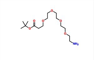 Tert-butilo 3-[2-[2-[2-(2-aminoetoxi)etoxi]etoxi]etoxi]propanoato CAS 581065-95-4