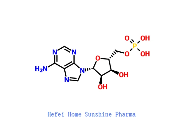 Adenosine 5'-monophosphate (AMP) CAS 61-19-8